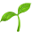 Plant Icon